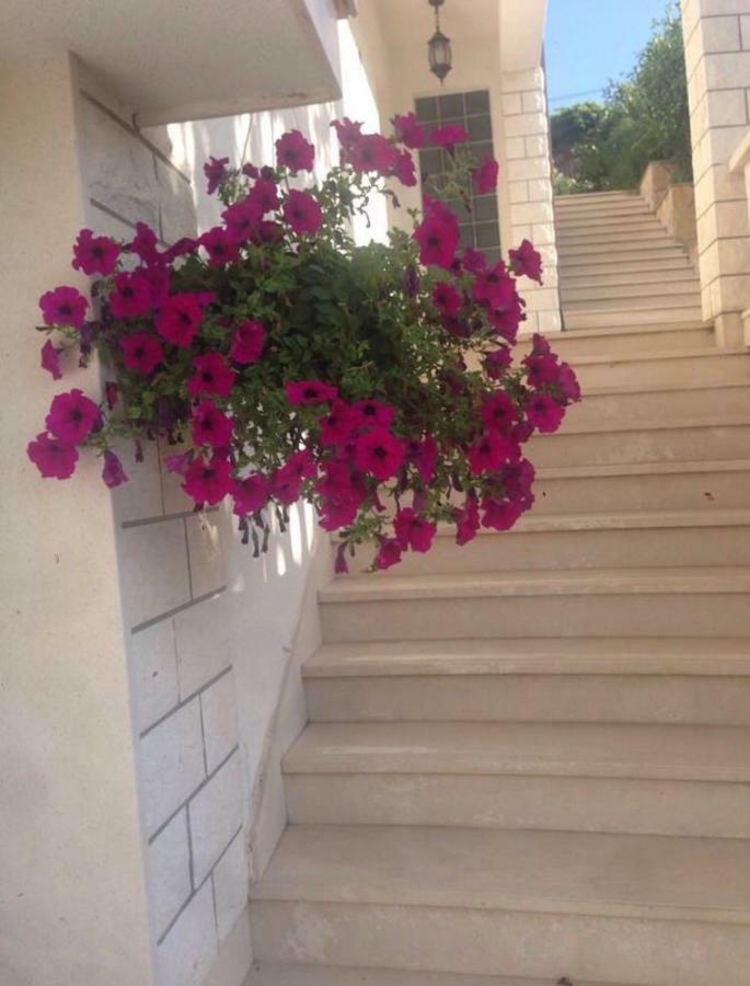 Lavendel Apartmán