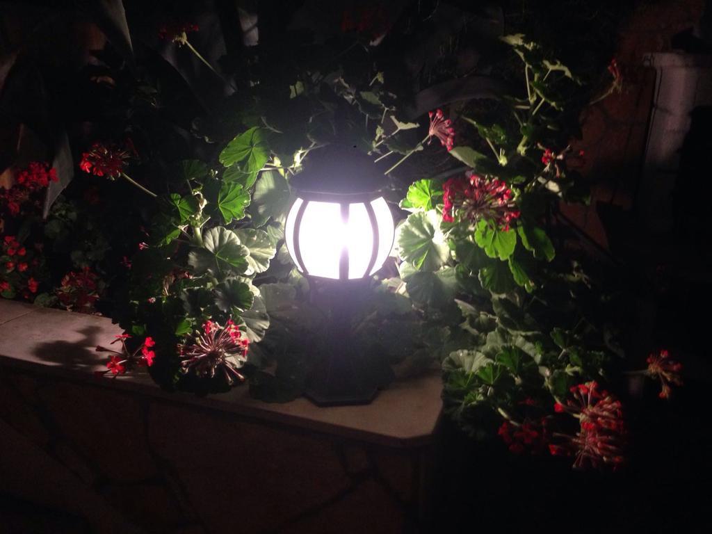 Apartamento Lavendel